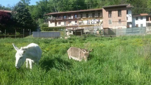 Bed & Breakfast Varionda Chiaverano Zewnętrze zdjęcie